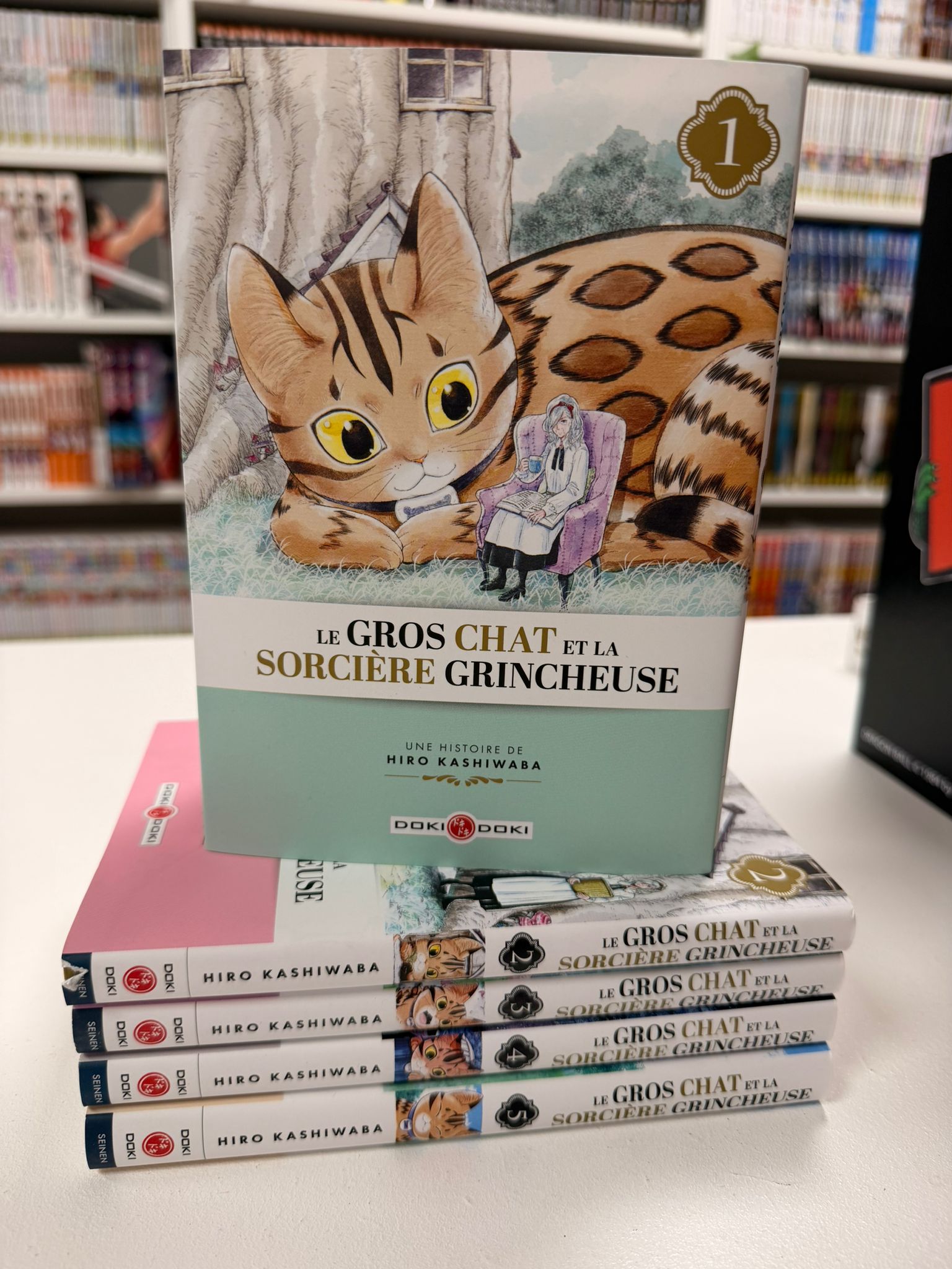 Le Gros Chat et la Sorcière grincheuse Intégrale&nbsp;&nbsp;